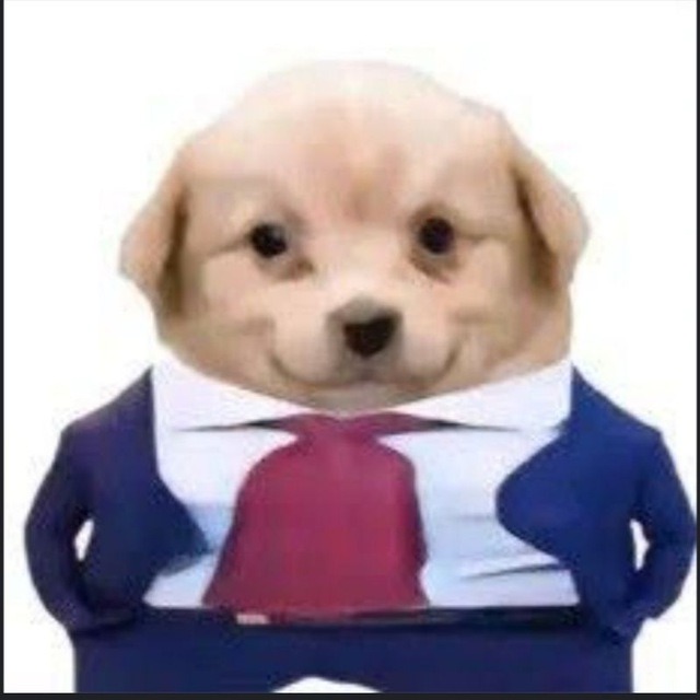 Slicepup